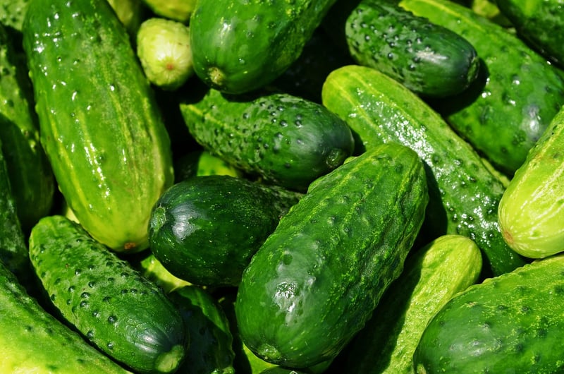 Seasonal Produce
